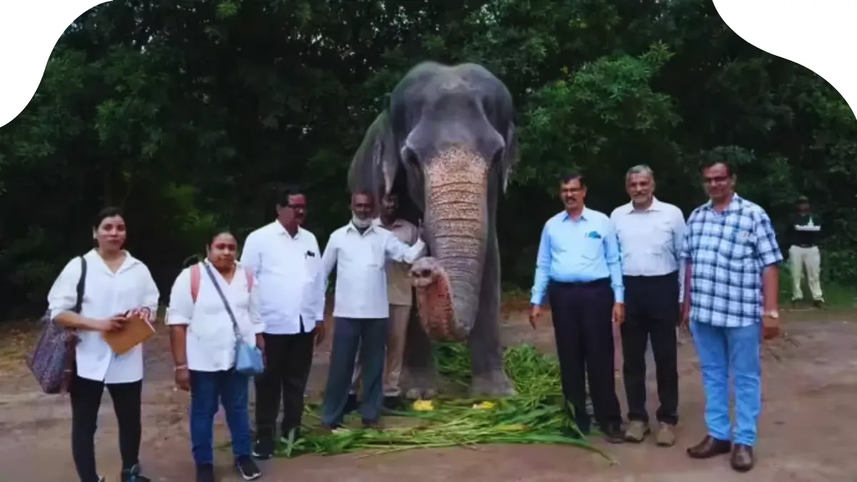 Emotional Reunion at Vantara